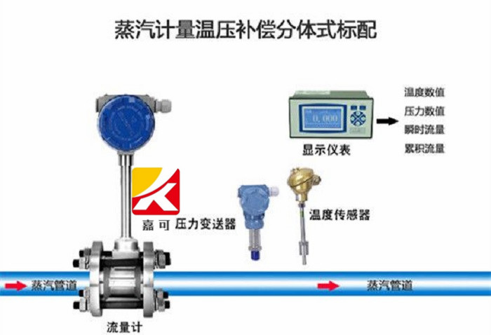 分体涡街1.jpg